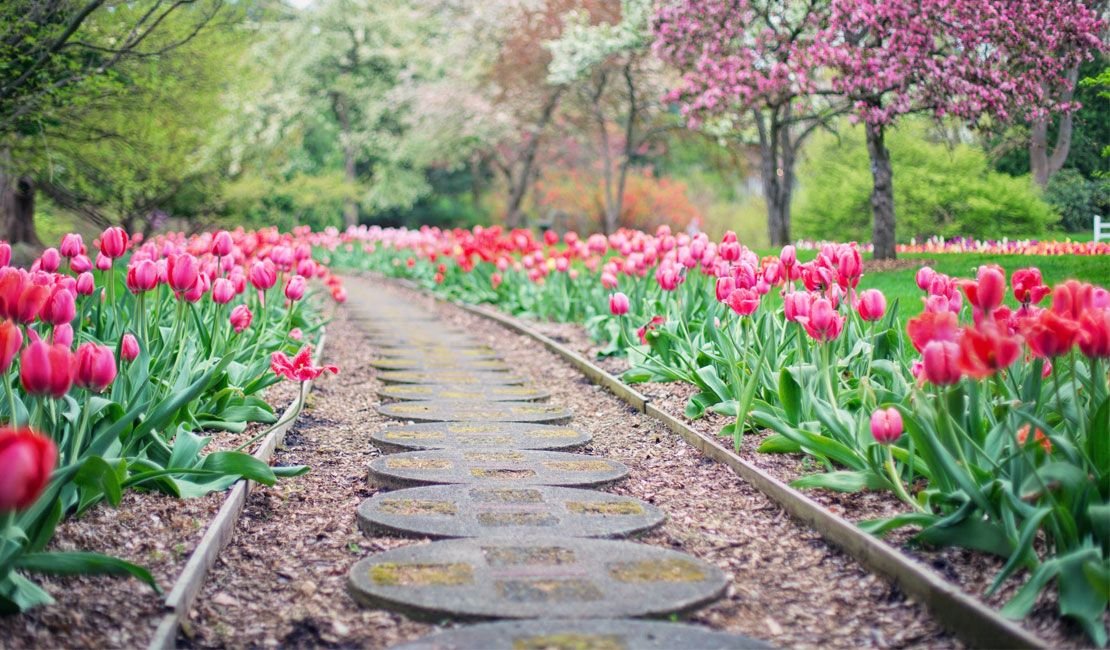 Rose Garden Path Rose Garden Path